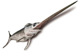 (Italiano) Pesce spada