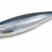 Il pesce azzurro e salute