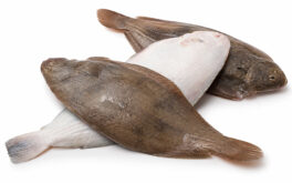 Sogliola o sfogio