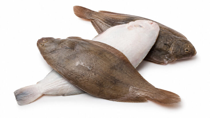 Sogliola o sfogio