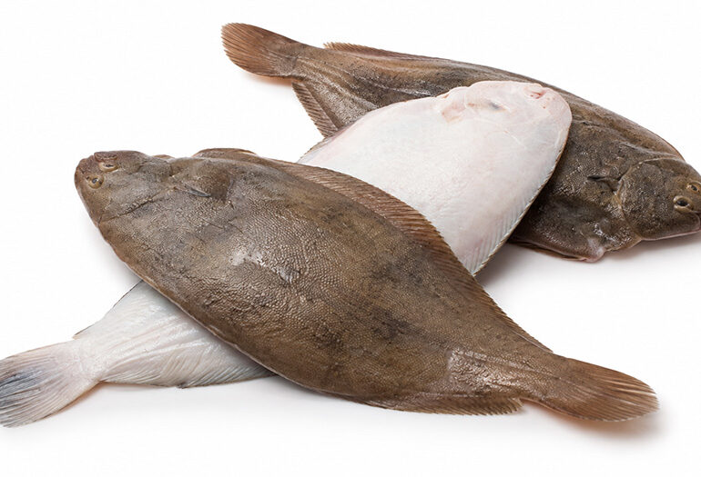Sogliola o sfogio