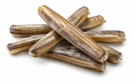 Canolicchi o capelunghe