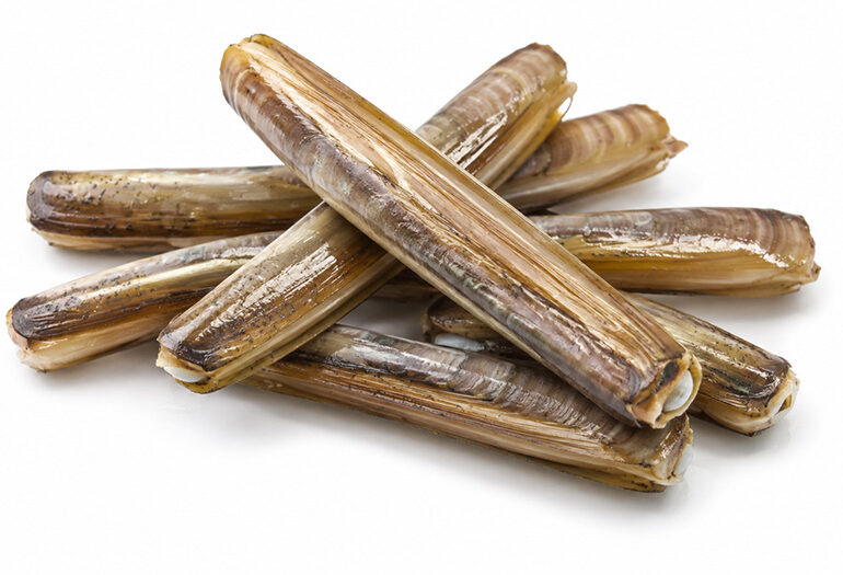 Canolicchi o capelunghe