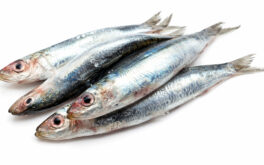 Sardina